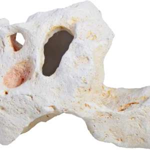 Hobby Cavity Rock 4 (15,5 × 9,5 × 8 cm) Sale